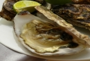 Oesters Oesters