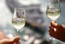 Proost! Altijddebestewijn.nl