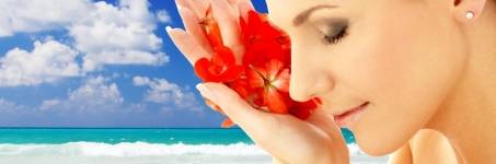 Wellness aan Zee Wellness aan Zee