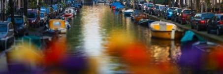 Amsterdamse Wallen Amsterdamse Wallen