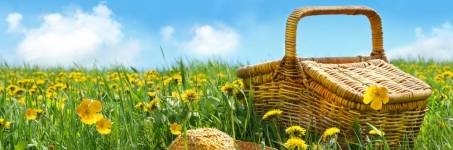 Heerlijk genieten van de lente Heerlijk genieten van de lente
