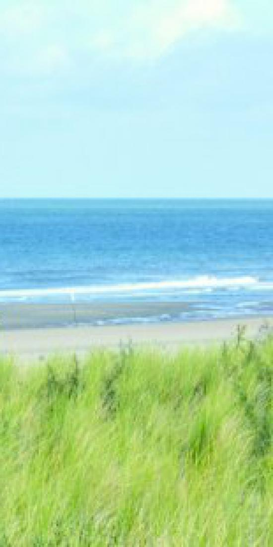 test3