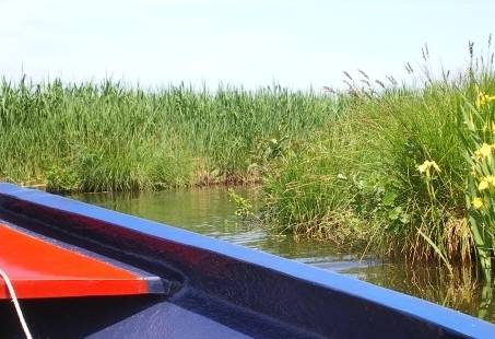 Voordelig varen en Barbecuen in Giethoorn - Top uitje voor een vriendelijk prijsje