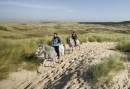 Paardrijden in Schoorl