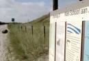 Strandwandeling maken in Schoorl