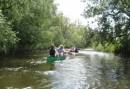 Varen