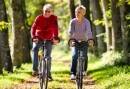 3-daags Fietsarrangement op de Veluwe - Geniet van het buitenleven!