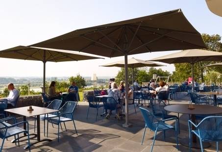 Terras