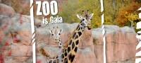 Dagje Gaia Park Zoo bezoeken