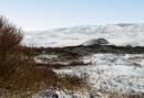 winter natuur