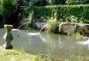 omgeving