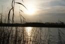 Giethoorn en drie Nationale Parken