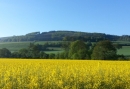 Wandelgebied
