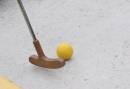 minigolf