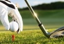 2-Daags Golfarrangement in Brabant - Genieten en spelen op 2 mooie golfbanen