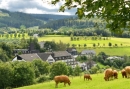 Bedrijfsweekend in zonnig Winterberg met Hike tour en spelprogramma