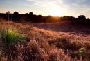Omgeving