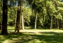 Geniet met dit 3 of 4-daagse Wandelarrangement van de Veluwse Bossen