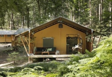 Lodge Tent