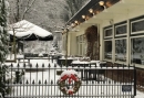Terras Winter