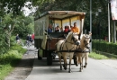 Huifkartocht bowlen en tafelgrillen - Beleef de Veluwe op zijn best!