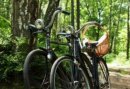 Fietsend de Maashorst ontdekken