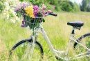 5-daags Fietsvakantie - Heerlijke Zomerse midweek genieten in een sfeervol Landhotel in de Achterhoek