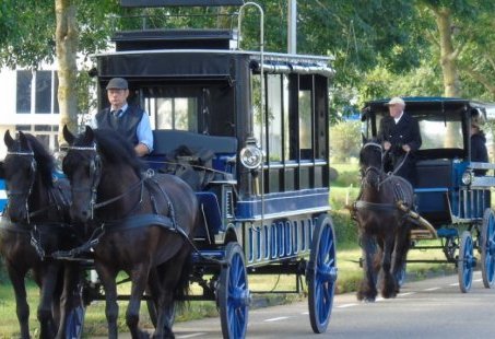 Met Paard en Wagen op Safari door de Weerribben - Familiedag in Overijssel