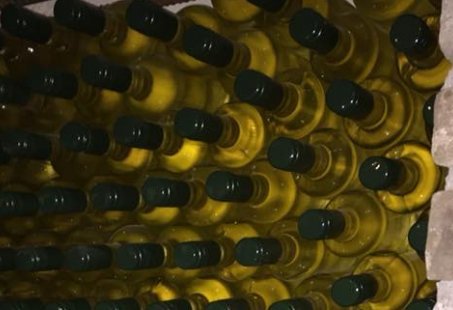 Rondleiding en wijnproeverij op het Wijngoed in het Montferland - al vanaf 2 personen