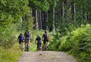 Stap de Mountainbike op en verken de prachtige omgeving van de Utrechtse Heuvelrug