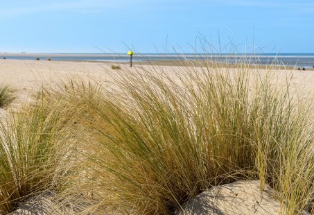 Ontdek Noordwijk - 5-daagse Mini Vakantie - Geniet aan de kust