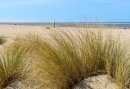 Ontdek Noordwijk - 5-daagse Mini Vakantie - Geniet aan de kust