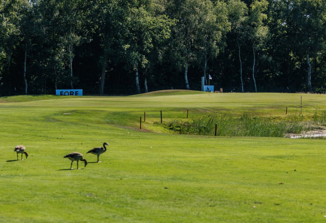 3-Daags Golfarrangement- Verken Drenthe met golf