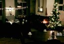 Kerstbuffet op Eerste Kerstdag - Familieuitje op de Veluwe