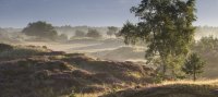 nationaal park drents friese wold