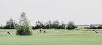 Golfen in Biddinghuizen