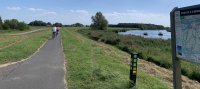 Fietsen door de Biesbosch