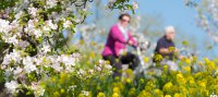 Fietsen in de Achterhoek