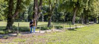 Wandelen in de Achterhoek