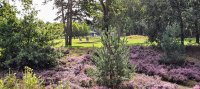 Goflpark Soestduinen