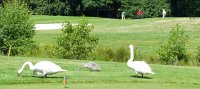 Twentsche golfclub