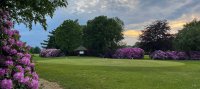 De golfbaan