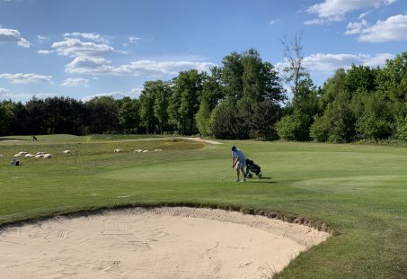 Golf in de Achterhoek en overnacht in Hanzestad Zutphen