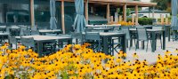 Terras horeca