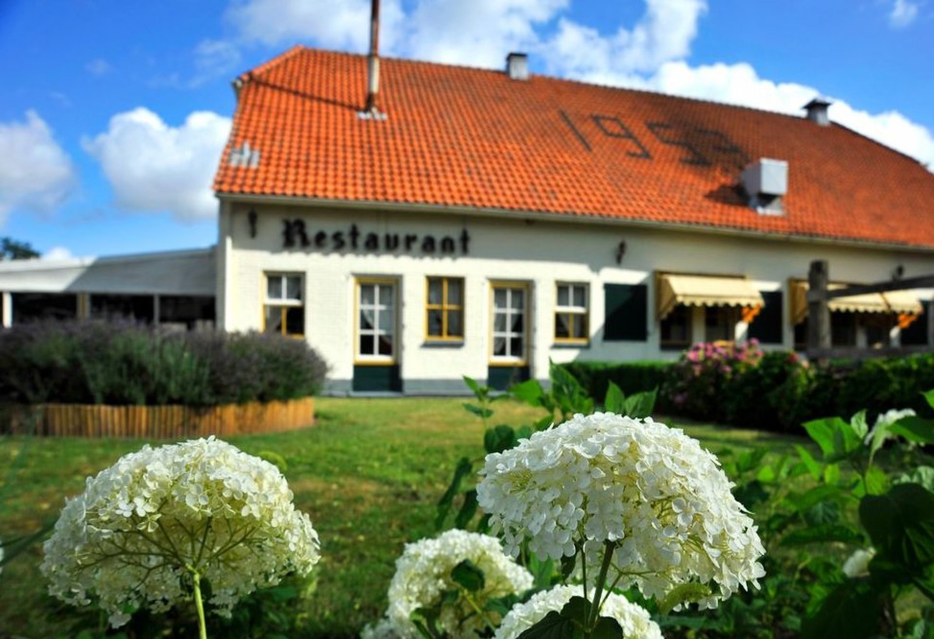 Onze partner